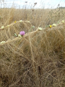 Land Art