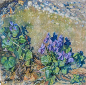 Ibolya