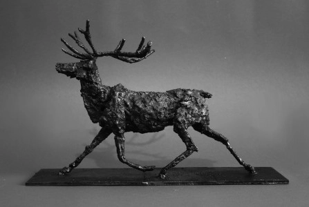 Rangifer Tarandus