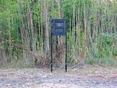 44