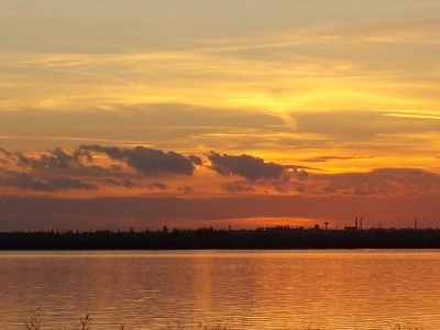 Alkony,Agárd
