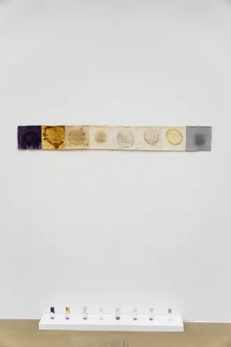 8x8
