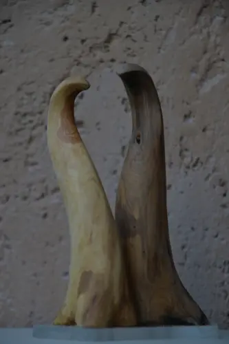 Protuberanciák