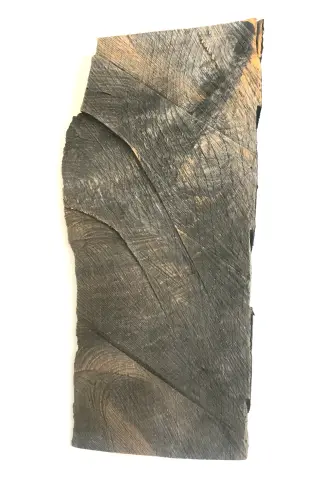 A fény menekülése