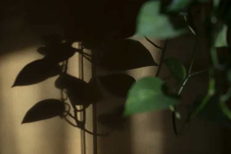 Tér, ami körbevesz #02