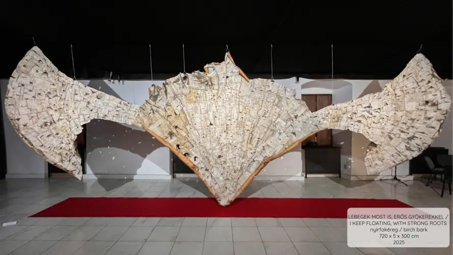 LEBEGEK MOST IS, ERŐS GYÖKEREKKEL