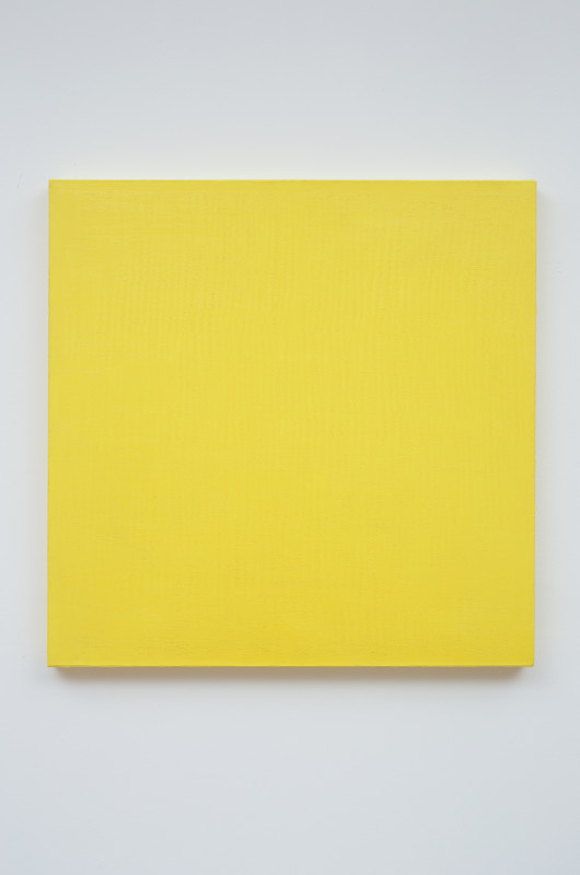 Untitleg/yellow